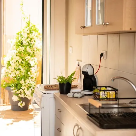 Apartment F'eris Nest Zakynthos Town